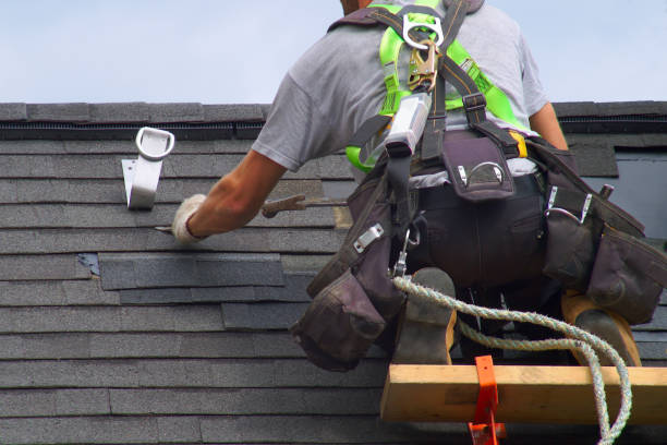 Best Storm Damage Siding Repair  in Chaska, MN